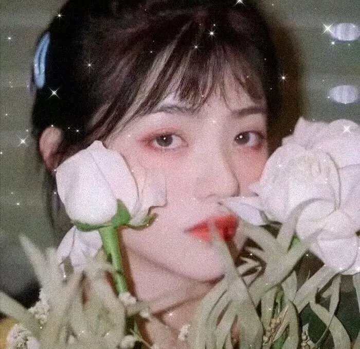 娇凤三姐妹